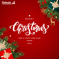 Tinhvan Group logo