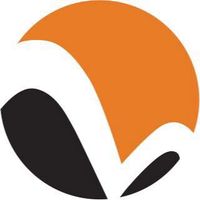 Vietiso logo