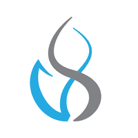 VietSearch logo
